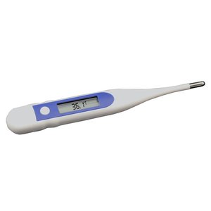 Digitalthermometer