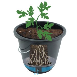Pflanzeimer mit Bewässerungseinsatz