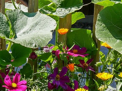 Garten - Spielwaren - Winter