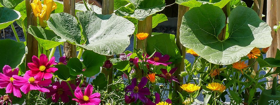 Garten - Spielwaren - Winter