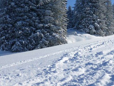 Winter / Sportartikel