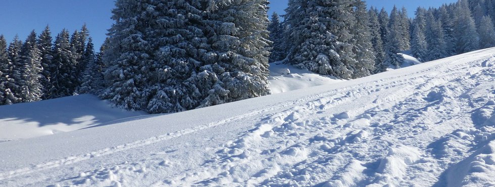 Winter / Sportartikel